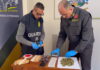 Urbino: la Finanza sequestra 600 grammi di droga confezionata in pacchetti di gomme da masticare. Scatta l’arresto