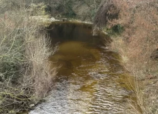 Borgo Pace, sversamento di liquame inquinante nel torrente Auro. Ruggeri (M5S): “Si faccia chiarezza sull’accaduto”