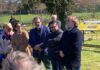 Fossombrone: inaugurata la mostra che documenta 50 anni di scavi al parco archeologico