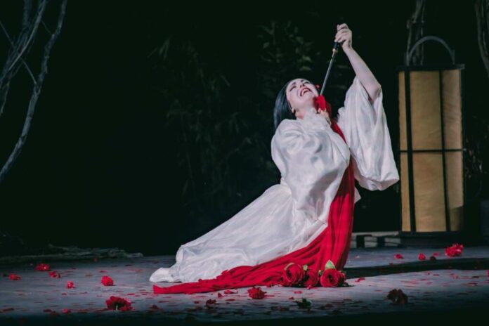 madama_butterfly_gallery_4@2x-1024x682