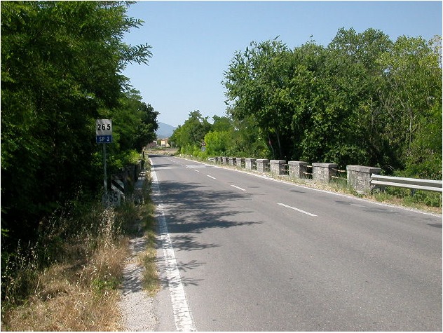 ponte