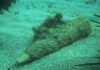 “Un mare di bombe”: a Fano si parla di ordigni bellici risalenti al secondo conflitto mondiale presenti nelle acque antistanti la costa Adriatica