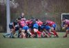 Essepigi Techefem Fano Rugby, attesa per il match con il Città di Castello