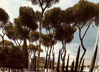 Pickleball, JayKay di Marotta protagonista al Foro Italico di Roma