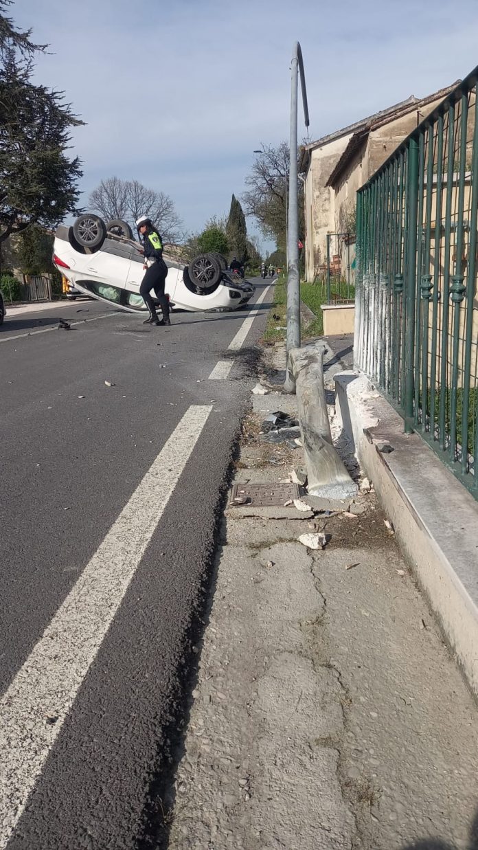 Immagine WhatsApp 2025-04-13 ore 15.35.32_699649b7