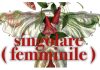 A Piobbico domenica 6 aprile con l’associazione Piccole Utopie Anomale l’evento Singolare (femminile)
