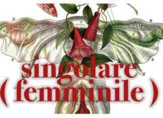 A Piobbico domenica 6 aprile con l’associazione Piccole Utopie Anomale l’evento Singolare (femminile)