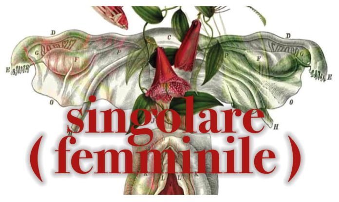 Singolare(femminile)_Immaginelogo