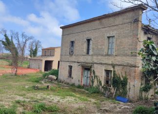 La Lupus in Fabula: “Fano-Polo logistico. La toppa è peggio del buco”
