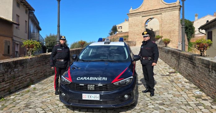 cc fano