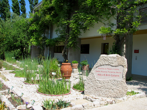 centro floristiche foto (3)
