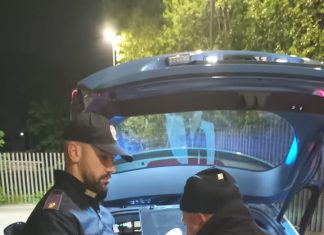 Provincia, nel weekend pasquale nove incidenti rilevati, cinque patenti ritirate, due animali selvatici investiti