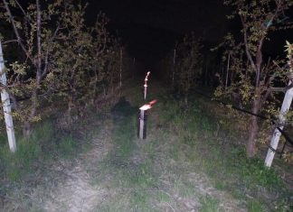 Gelate tardive nelle Marche, fiaccole in campo e riscaldamento nelle serre per salvare ortaggi e frutteti