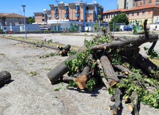 Fano: per la salute si danneggia la salute. L’appello di Lupus in Fabula