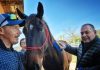 Catria, attività equestri e nella natura con disabili e bambini