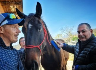 Catria, attività equestri e nella natura con disabili e bambini