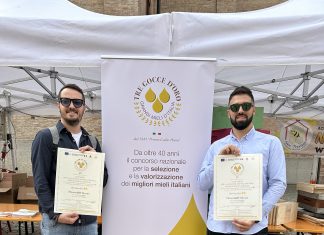 Cagli, “I Tesori dell’Alveare” magnificano l’incanto delle api