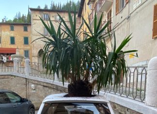 Grave atto vandalico a Fossombrone pianta scaricata sopra una minicar