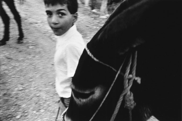 Marialba Russo_Sicilia, 1986 - (alberto damian gallery)
