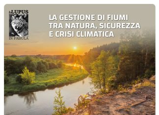 La gestione dei fiumi tra natura, sicurezza e crisi climatica: se ne parla oggi a Pesaro