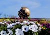 Pesaro dà l’addio ad Arnaldo Pomodoro, archeologo del futuro e del mistero