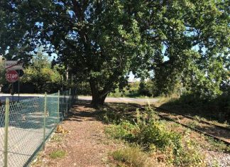 Comitato Ciclovia del Metauro: “Un’occasione persa”