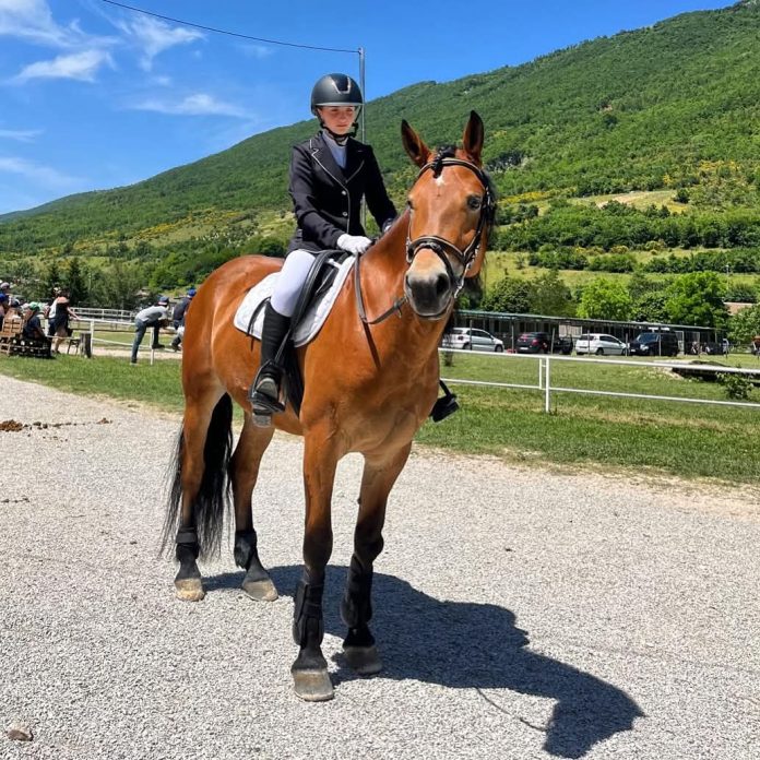 Cavallo
