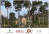 “Cena in Pineta”: una serata di solidarietà per le famiglie di Mondolfo e Marotta