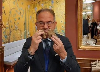 Giuseppe Cristini vola in Giappone. Porta la cultura del tartufo con l’Università di Urbino
