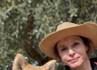 La denuncia di Caterina Di Placido, medico fanese: il cucciolo di cane Raffo sbranato da due lupi in giardino