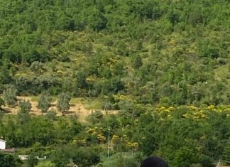 Cagli, “La Bisciugola” fa esordire le nuove leve