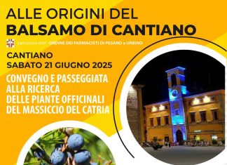Domani (21 giugno) si apre la seconda edizione di In Gin per Cantiano con il convegno “Alle origini del balsamo di Cantiano”