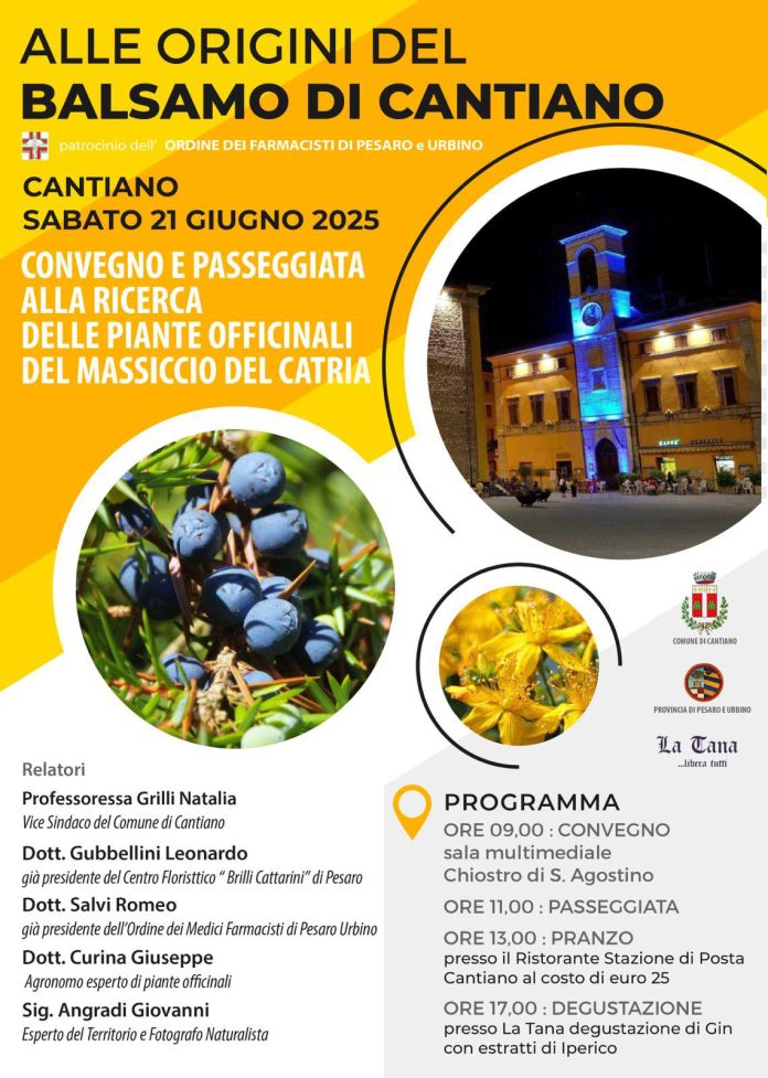Immagine WhatsApp 2025-06-18 ore 14.56.34_acfbe327