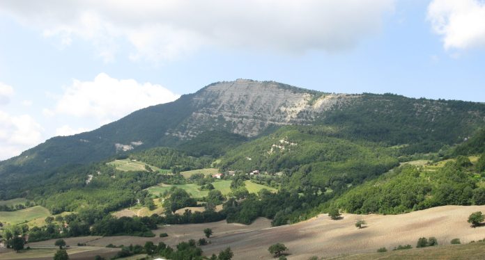 Monte_Carpegna_II