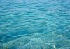 Ordigni chimici nel mare della costa pesarese