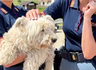 Polizia di Stato contro abbandono animali