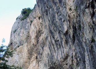 Dalle scoperte archeologiche nella ‘Grotta del Grano’ alla musica da ‘Incanto’: Riserva del Furlo tra natura e cultura