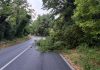 Maltempo, oltre trenta interventi della Provincia nelle strade tra Colli al Metauro, Peglio, Cartoceto, Mombaroccio