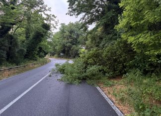 Maltempo, oltre trenta interventi della Provincia nelle strade tra Colli al Metauro, Peglio, Cartoceto, Mombaroccio