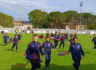 Pergolese, settore giovanile modello e in continua crescita