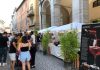 Festa del Vino, a Pergola si celebrano i 20 anni del Pergola Doc