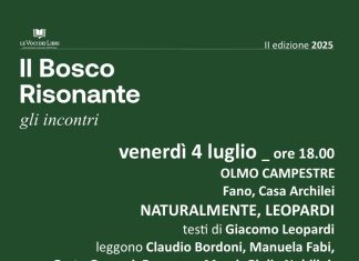 C’è anche l’olmo campestre di Casa Archilei nel Bosco Risonante a Fano