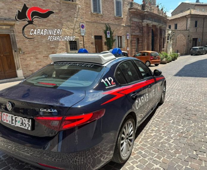foto rm urbino