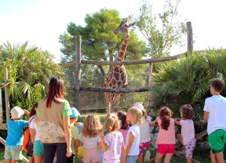 Settembre al Parco Zoo Falconara: un mese di scienza, divertimento e natura