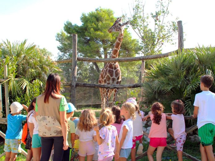 zoo_2025