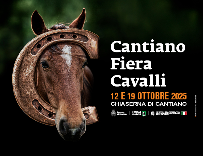 cantiano fiera cavalli