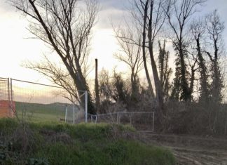 Biodigestore a Barchi? Altre opzioni se il Consiglio di Stato respinge il ricorso….