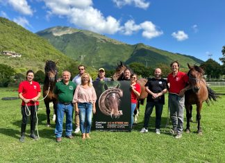 Ambiente, natura, sport, cultura, economia e spettacoli equestri per una due giorni di celebrazioni del Cavallo del Catria