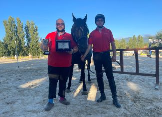 La prima volta di un cavallo razza Catria a un campionato europeo. Bronte vola in Francia
