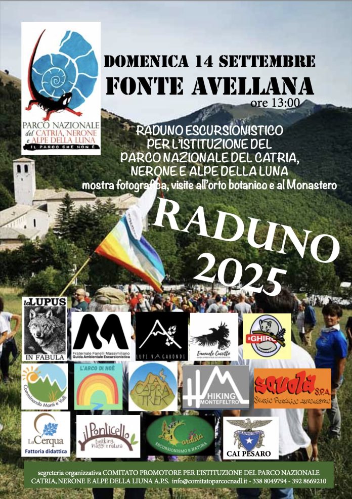 Raduno 25 groups